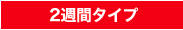 2�T�ԃ^�C�v